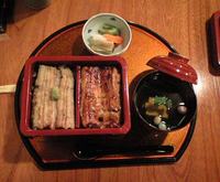 080206e.jpg
