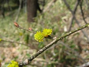 080323-1.jpg