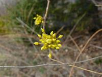080323-2.jpg