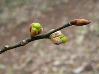 080323-3.jpg
