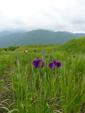 080625a-7.jpg