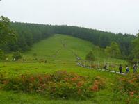 080625b-2.jpg