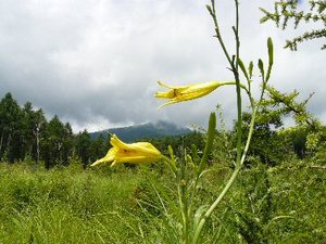 080818.jpg