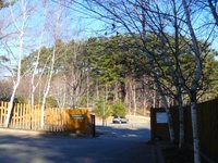 081219-3.jpg