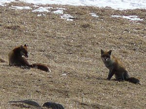 090127-1.jpg