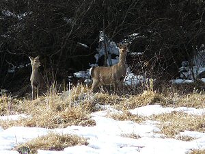 090127-2.jpg