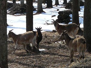 090127-4.jpg