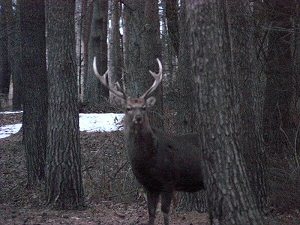 090127-5.jpg
