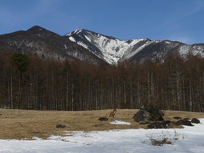 090127.jpg